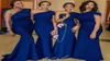 Elegant Royal Blue Sexy One Shoulder Long Bridesmaid Dresses Nigerian African Mermaid Plus Size Maid of Honor Gowns for Weddings 47931951