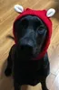 Odzież dla psa śmieszne zimowe kapelusze z kapeluszu Ennly szyi Ucharz cieplejszy Snood Knited Big Headgear Headwear