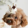 Perles de vêtements de chien Crown Coil Clip Mini Birthday Pet Cat petit chapeau