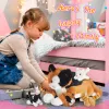 Giocattoli da 50 cm grazioso bambola gatto peluche set di giocattoli soft kitty regalo di compleanno cuscini da 5 pezzi set di animali imbalsamati per bambini bambini bambini