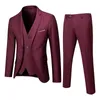 Mens Suit Slim 3 Piece Business Wedding Party Jacket Vest Pants 240422