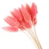 Suszone kwiaty 50pcs/pęczka naturalne suszone kwiaty kolorowe pluszowe fałszywe królik ogona trawa foxtail sztuczne kwiaty rośliny domowe