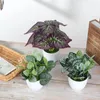 Flores decorativas da sala de mesa Ornamentos de escritório varanda plantas artificiais Simulação de vegetação falsa folhagem verde folhagem