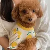 Ropa de ropa para perros tulip tulip camiseta con estampado completo Teddy Bichon Waffle Pet Clothing Summer para cachorros suministros