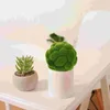 Decorative Flowers 2 Pcs Simulated Moss Ball Rock Green Balls Artificial Plant Ornament Plastic Topiary For The Garden