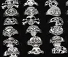 SENHUA Whole lots 25pcs MIXED Cool BOY Mens Jewelry Biker Gothic Style Antique Silver skeleton Skull Rings for Halloween Gift 52533258393