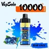 Najlepiej sprzedający się vapsolo tornado 10000 Puffs 10K Dorostabilne papierosy 10 Smaki 2% 5% Vape Pen 20 ml Prefilled POD HAISH VAPES NECARGEAM BAZTUJĄCE 10K PUPRY