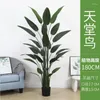 Decorative Flowers Artificial Green Plant Canna Potted Fake Trees Large Simulation Bird Of Paradise Decoration