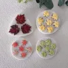 Stampi Candames in silicone a foglia artigianato stampi per resine strumenti per cupcake stampi per la torta di fudgi utensili da decorazione