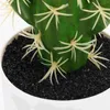 Decorative Flowers Simulation Cactus Desktop Decor Small Bonsai Ornament Tabletop Potted Plant Potting Decoration Fake