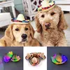 Hundkläder mexikansk mini hatt små kläder roliga halm husdjur kepsar för födelsedagsfest dagliga dekor po props leveranser