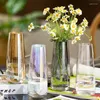 Vases Design Aesthetic Interior Desk Decor Modern Nordic Office Wedding Vaso Flower Para Planta Home Decorations