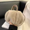 Totes Women's Bags Winter Trend Designer Luxury Handbag Fluffy Tote Woven Carry Handle Small Mini Crossbody