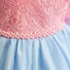 Mädchenkleider Kleinkind Baby Girls Spitzenkleider Rückenless Hochzeitsballkleider Stickerei Elegante Zeremonie Kostüme Geburtstagsfeier Prinzessin Dressl2404