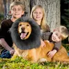 Hondenkleding grappige leeuwmanen voor honden pruik haar complementair wasbare wasbare verstelbare cosplay outfit verkleed