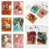 Dekorativa blommor 1bag verkliga torkade naturliga växter Ljuspressade torra blomma hemgåvor Box Scrapbooking Decor Diy Art Craft