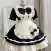 Robes sexy urbaines 2024 New Fashion Cat Restaurant mignon Op Short Maid Lolita Robe tablier