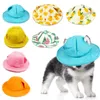 Capes de vêtements pour chiens fournitures pour animaux