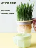 Поставляет иерархический дизайн чашка выращивания травы кошачья трава с самолетом