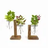 Vases Terrarium Vasevase Decoration Home Bonsai Flower Plant Vintage Pot Transparent Wooden Frame Glass Tabletop Plants