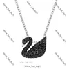 Collier Swarovskis Designer Femmes Colliers de qualité Original Colliers Colliers The Swan Collier Classic For Women with Gradient Lover Gift 2248