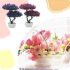 Dekorativa blommor ABS HUSS Kit Decoration Frames Pos Wall Dollhouse Miniature World Plants On
