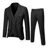 Mens Suit Slim 3 Piece Business Wedding Party Jacket Vest Pants 240422