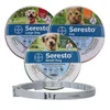 Collar per gatto per cani 8 mesi di prevenzione delle zecche per zecche da zecche per le zanzare per gatti per le zanzare per cani Collar Collar Insetto Mosquitoes