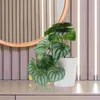 Декоративные цветы бионическое искусственное растение Bonsai Home Decor Abrimelon Peperomia Факовые горшечные растения