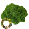 Dekoratif Çiçekler Yeşil Moss sahte zanaat 100g DIY projeleri için nefes alabilir renksiz yapay yapım akvaryumlar