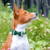 Colarinhos elegantes colarinho de cachorro com cauda com bow St. Patrick's Dog Collar
