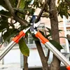 Garden Pruner Pruning Shears Scissors Pliers Tree Branch Cut Cutter Landscaping Bonsai Gardening Professional Tools 240410