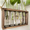 Vasen hängen hydroponisches Pflanzen -Terrarium -Retro -Röhrchen für Gartenbegeisterte Geschenk