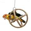 Andere vogels levert kleurrijke hangende papegaai molair speelgoedartikelen huisdier voor training swing bit dropship