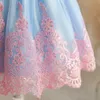 Mädchenkleider Kleinkind Baby Girls Spitzenkleider Rückenless Hochzeitsballkleider Stickerei Elegante Zeremonie Kostüme Geburtstagsfeier Prinzessin Dressl2404