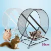 Décor Glieur de sucre / hérisson au tapis roulant silencieux Big Wheel Squirrel Supplies Golden Bear Pet Toy Running Ball