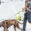 Hondenkleding kaktashouder 5 pc's huisdier leaste liete carrier clip dispenser voor lopende lopende fiets
