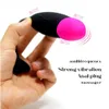 Vibrateur de culotte avec un jouet sexuel rechargeable vibrant puissant à 10 vibration pour hommes et femmes vibratrice de spot