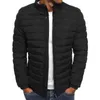 Vestes pour hommes Hiver Man Veste chaude emballable Light Mens Down Puffer Bubble Ski Coat matelass