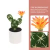 Fleurs décoratives Small Bonsai Simulation cactus plantes succulentes plantes plantes plantes artificielles en plastique en plastique en pot