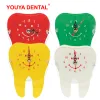 Clocks Dental Table Clock Decoration Small Modern Design Battery Desk Clock Cute Tooth Shape Dentistry Ornaments Artcraft Dentist Gifts