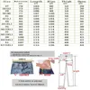 メンズジーンズメンズパッチワークデニムジーンズが引き裂かれた穴と中空の新しいプラスサイズ高品質のファッショナブルな破れたパンツル2404