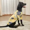 Appareils pour chiens Small and Medium Dog Beach Ananas CHIRT HAWAIIAN PET DOG Cat Golden Retriever Spring and Summer Season Clothing D240426