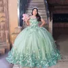 Light Green Princess Lace 3D Florals Tull Quinceanera Dress for Girl