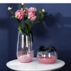 Vasos gradiente vaso de vidro rosa vaso transparente hidropônico vasos de flores Desk decoração