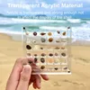Akryl Magnetiska smycken Seashell Display Box Small Crafts Stone Nail Art Bead Charm Show Organizer Container Fall 240411