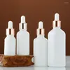 Garrafas de armazenamento 5-100 ml garrafa de óleo giratória de espreguiçadeira fosca amostra de cosméticos Amber vazio aromathera massagem líquida pipeta