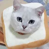 Dog Apparel Collar Outfit Anti Licking Bread Pet Supply Cat Toast Neck Cone Protective Cotton Shape Decor Soft