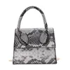 Torba moda serpentynowa damka na ramiona skórzana łańcuch węża węża małe torebki torebka retro mini crossbody torebka