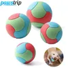 Pet Dog Toys Bite Resistant Bouncy Ball Toys för små medelstora stora hundar Tandrengöring Boll hundtuggar Leksaker Pet Training Products